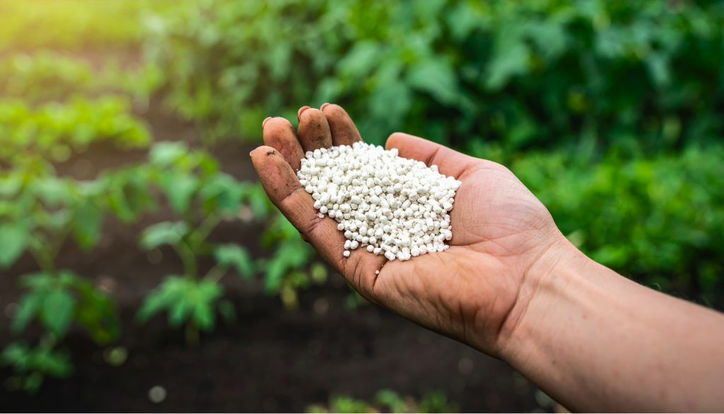 Nitrogen fertilizer granules